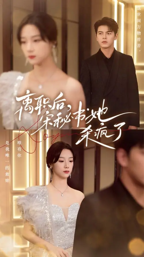 《离职后，宋秘书她杀疯了》：职场复仇爽剧，看她如何逆袭人生！