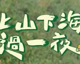 《上山下海过一夜》：一场治愈心灵的旅行，探索未知的自然奇观与人生真谛
