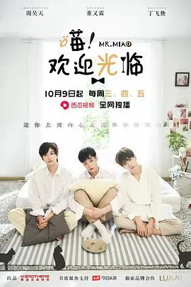 《喵欢迎光临》：一只猫引发的治愈奇迹，感受爱与温暖！